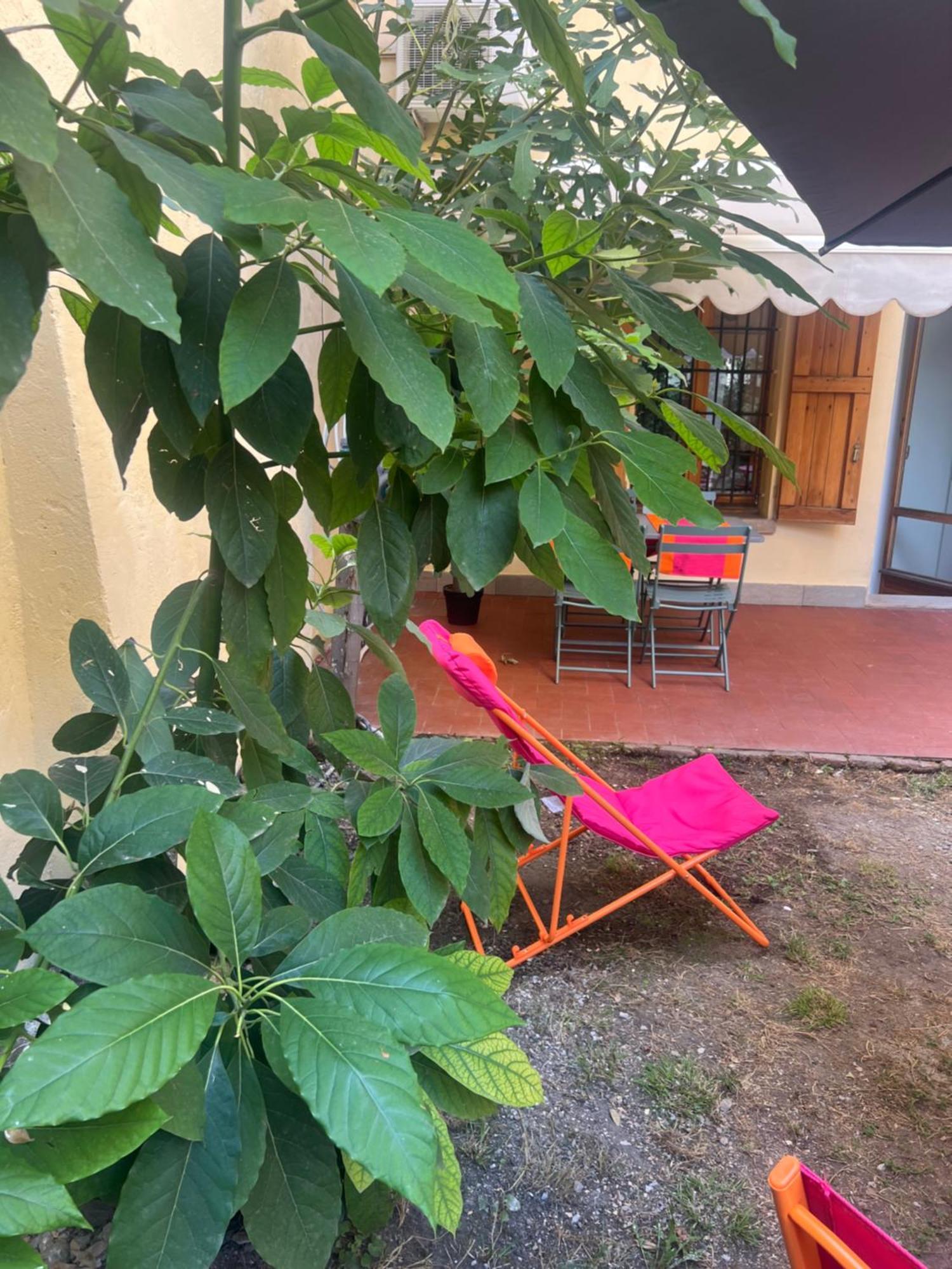 Teagarden Centro Storico Bologna 아파트 외부 사진